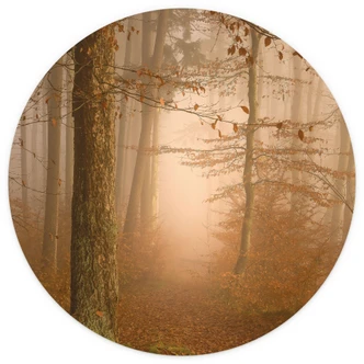 Fototapete Dunst und Licht im herbstlichen Wald - Maier - Rund - Selbstklebend/Vlies 