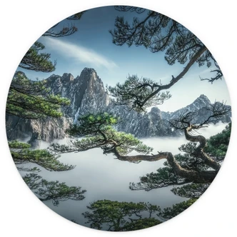 Fototapet fyrreskov i Huang Shan-bjergene - NingYun Ye - Round - vliesetapet/selvklæbende non-woven tapet 