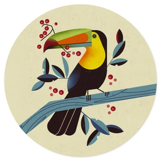 Muursticker Braun - Toekan Muursticker Braun - Toekan