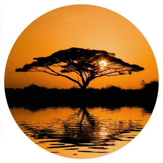 Sticker mural Afrique | paysage au coucher du soleil - rond 