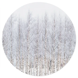 Wallsticker Björkskog på vintern - EMELIEmaria - Rund Wallsticker Björkskog på vintern - EMELIEmaria - Rund