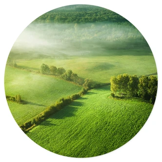 Wall sticker Idyllic fields in the fog - Basement - Round 