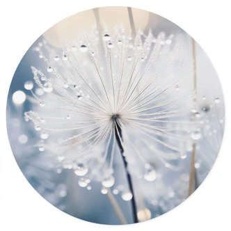 Naklejka na ścianę Lśniące mlecze - Treechild - Okrągła 