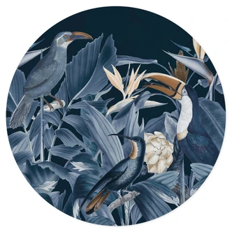 Tropiska fåglar i en nattlig skog Wallsticker - Haase - Rund 