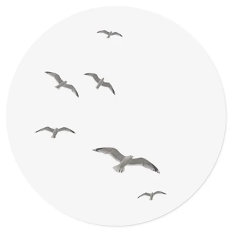 Vinilo decorativo Gaviotas en el cielo - Redondo Vinilo decorativo Gaviotas en el cielo - Redondo