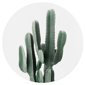Naklejka na ścianę z kaktusem - Sisi & Seb - okrągła 