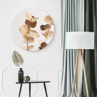 Alu-Dibond 1X Studio - Goldener Eukalyptus - Rund 