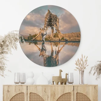 Wandschildering Spiegeling van een giraffe in het wild - Amtmann - Alu-Dibond Rond Wandschildering Spiegeling van een giraffe in het wild - Amtmann - Alu-Dibond Rond