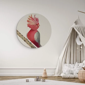 Wandcirkel Braun - Cockatoo 