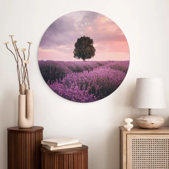 Wandbild Lila Lavendelfelder bei Sonnenuntergang - Cevik - Alu-Dibond Rund 