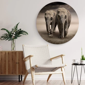 Wandcirkel Olifanten 