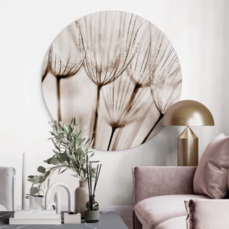 Wandcirkel Dandelions 