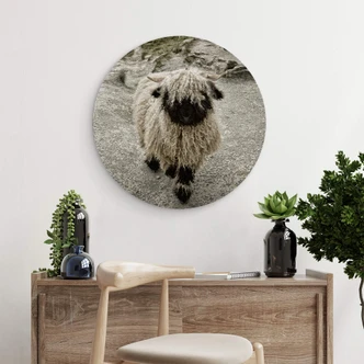 Wandcirkel Landolt - Walk in the Mountains 