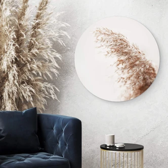 Alu-Dibond Pampasgras - Rund 
