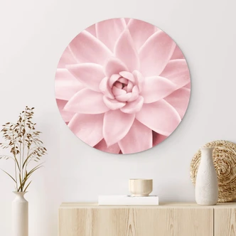 Wandcirkel Sisi & Seb - Roze Succulenten Wandcirkel Sisi & Seb - Roze Succulenten
