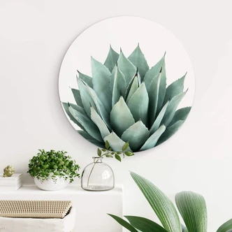 Wandcirkel Sisi & Seb - Succulents Wandcirkel Sisi & Seb - Succulents