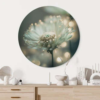 Wandbild Zartes Funkeln der Blüten - Treechild - Alu-Dibond Rund 