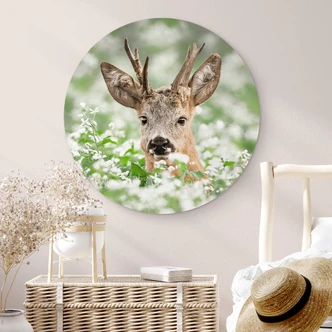 Wandcirkel van Duijn - Jong Hertje 
