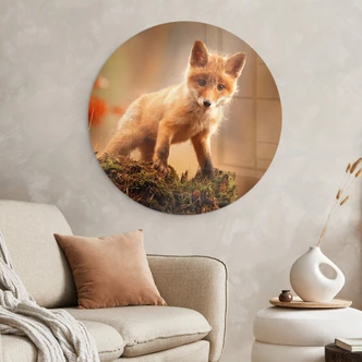 Glasbild Adamec - Junger Fuchs im Wald - Rund 