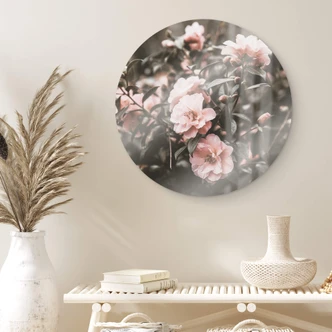 Glasbild Annie - Rosenstrauch - Rund Glasbild Annie - Rosenstrauch - Rund