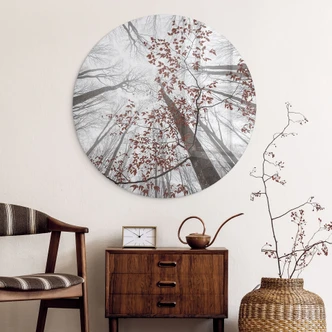 Glasbild Baumkronen mit roten Blättern - Rund - Coman Glasbild Baumkronen mit roten Blättern - Rund - Coman