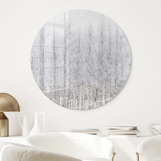 Glasbild Birkenwald im Winter - EMELIEmaria - Rund 