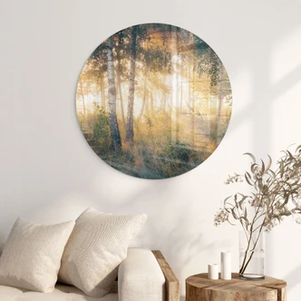 Glasbild Sonnenschein im Birkenwald - Kado - Rund 