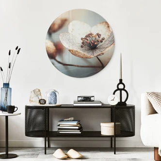 Glasbild Boho Trockenblume Makro | Florale Fotokunst - Treechild - Rund 