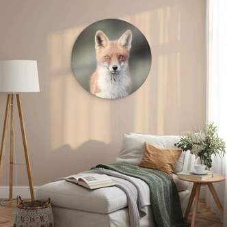 Tableau sur verre van Duijn - Yeux de renard 