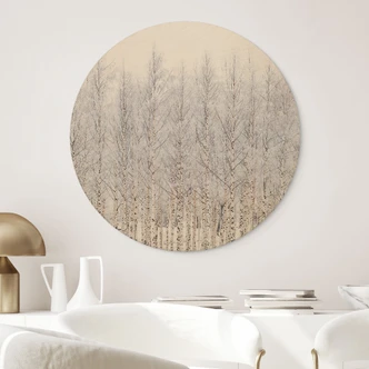 Tableau sur bois Forêt de bouleaux en hiver - EMELIEmaria - Rond 