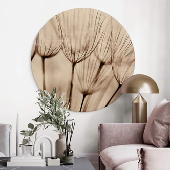 Wandcirkel Hout Dandelions 