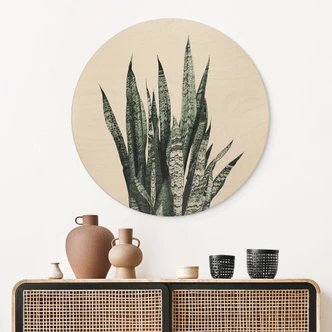 Wandcirkel Hout Plant - Sisi & Seb 