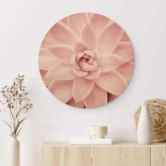 Tableau sur bois rond Sisi & Seb - Succulente rose 