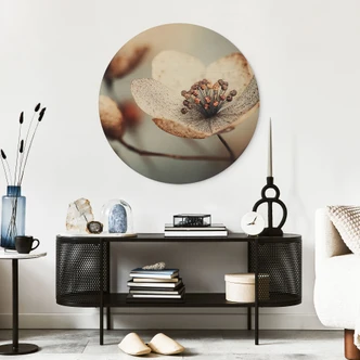 Tableau sur bois Boho Fleur séchée Macro - Treechild - Rond 