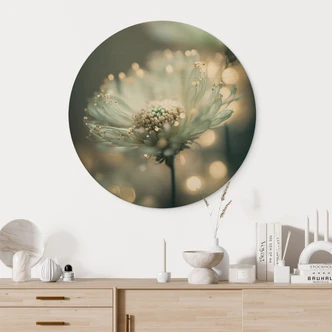 Tableau sur bois Délicat scintillement des fleurs - Treechild - Rond 