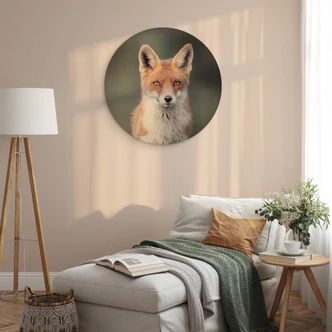 Cuadro de madera van Duijn - Ojos de zorro - Redondo 