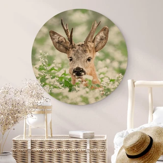 Cuadro de madera van Duijn - Corzo joven en brezo - Redondo 