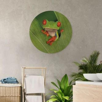 Cuadro de madera rana arborícola en la selva tropical - van Duijn - Redondo  