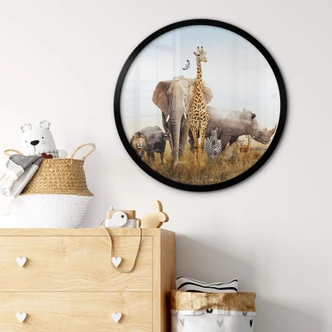 Poster Afrikanische Tiere - Rund 