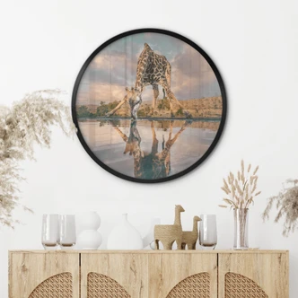 Poster | Reflektion av en giraff i det vilda - Amtmann - Rund Poster | Reflektion av en giraff i det vilda - Amtmann - Rund