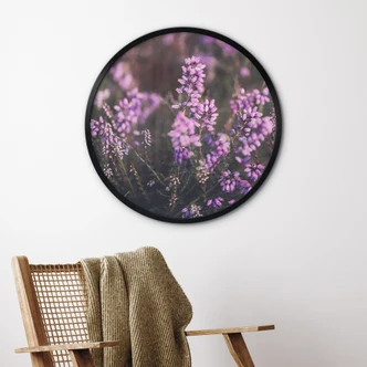 Natuur Poster paarse heidebloesem in warm licht - Annie - Rond 