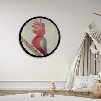 Poster Braun - Pink Cockatoo 