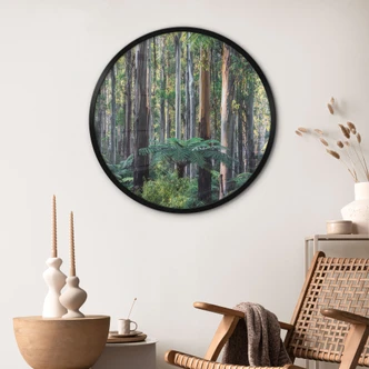 Poster Eucalyptusbossen in de Yarra Ranges - Colombo - Rond 