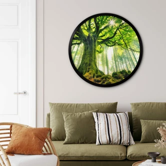 Poster Kiciak - Märchenwald - Rund 