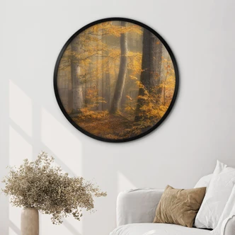 Poster Goldene Blätter im nebligen Wald - Maier - Rund 