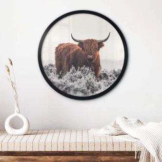 Poster van den Helm - Highlander - Rund 