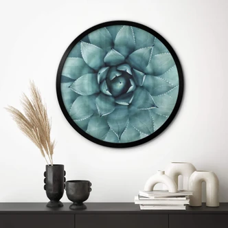 Poster Agave 02 - Rund 