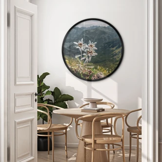 Poster Witte alpen edelweiss op de berg 