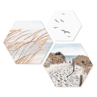 Stampe esagonali per pareti (3 pezzi) - alluminio dibond 