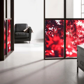 Raamfolie Esdoorn in de herfst 